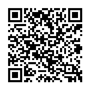 当看到苏凡竟然搂着自己女儿的细腰进来的时候二维码生成