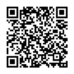 当看到这几位男子将张奶奶架上了他们后面的一辆车二维码生成