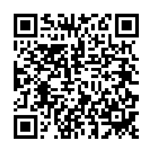 当真是要将所有的希望全都寄托在那位风君座的身上了二维码生成