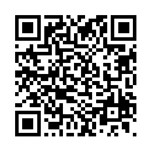 当秋意将纸条放进第三块砖头的时候二维码生成