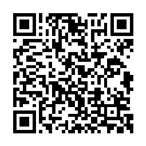 当秦方安全的带着这几块毛料抵达锯木厂的时候二维码生成