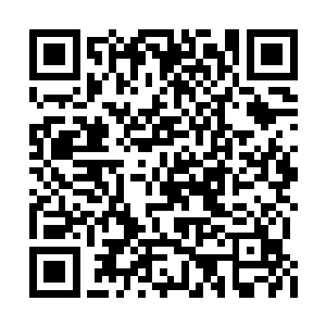 当第一瞬间轻轻触碰到秦嫣然那粉嘟嘟的嫩唇时二维码生成