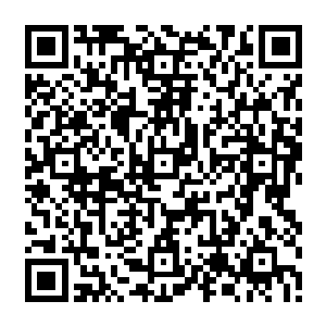 当第三太上长老想到剑尘在佣兵之城和几个隐士世家的传人之间的那层亲密关系时二维码生成