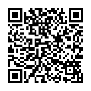 当第二天拜尔的皇家卫队们对米尔斯的家宅进行清理的时候二维码生成