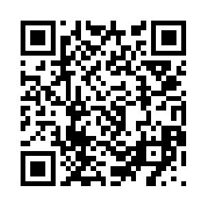 当绿色的肥嘟嘟小果子消失在土壤里后二维码生成