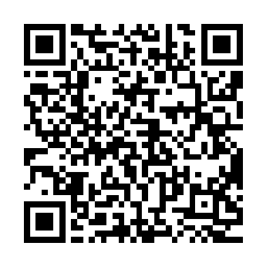 当自己都吃不饱穿不暖的时候自然会想各种各样的办法来活下去二维码生成