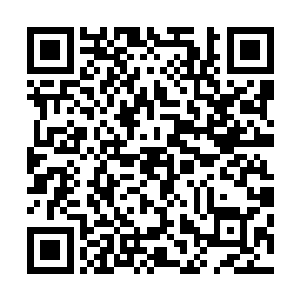 当苍茫山主人自以为是的打算为了徒儿与定王府交涉的时候二维码生成