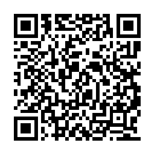 当苏落在一群哥哥们的簇拥下走向战斗台的时候二维码生成