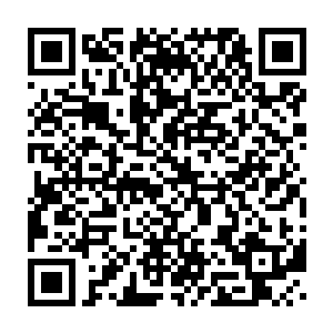 当莫小鱼按照洪门提供的信息找到了3k党党魁伊卡路斯下榻的酒店时二维码生成