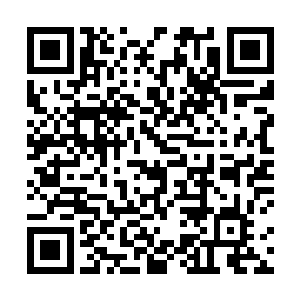 当见到方天赐和雷影先后冲进杨开的小乾坤消失不见时二维码生成