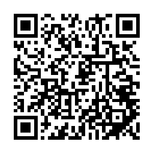 当轻风剑刺在刀疤男子横在自己身前的巨剑上时二维码生成