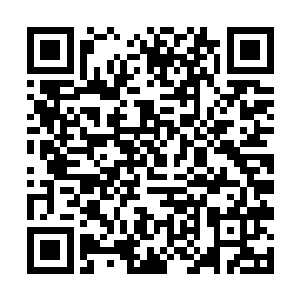 当这两个十级武霸看到雷天就在前面等着他们的时候二维码生成