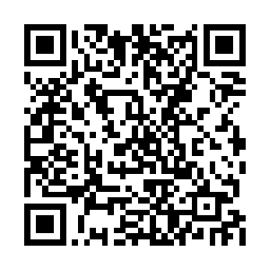 当这个米斗里面的泥土暴露在众人的视线当中时二维码生成