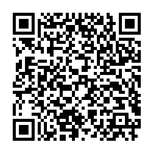 当这些仙王和太上仙王发现他们已经到了顶点的时候却依然不满足二维码生成