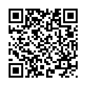 当这些标志着豢养物品的印记去处二维码生成