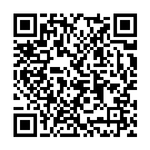 当这位非洲友人再次露出那对比鲜明的一口白牙时二维码生成