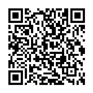 当这只可怜的小紫月天冥鼠睁开眼睛的那一霎那二维码生成