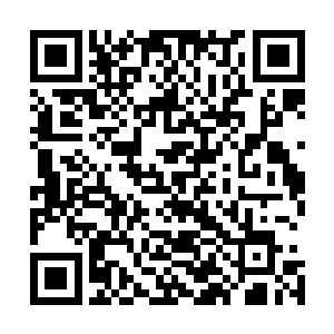 当这小子知道自己招惹的是一位圣域巅峰会是什么样的表情二维码生成