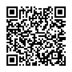 当那阵因他的身形而起的风吹到森马的耳旁的时候二维码生成