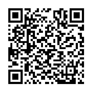 当那雷霆劈下之时你替我裆下一击我就能够出来了二维码生成