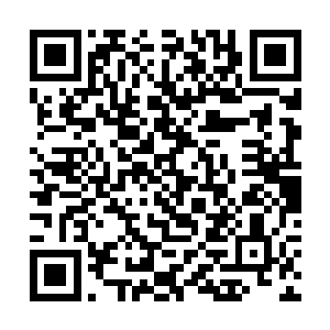 当马文提出希望让圣血女孩在希望之城暂住一段时间二维码生成