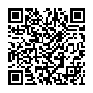 当鸡肉卷国真的面临了生死存亡这样关键的时刻二维码生成