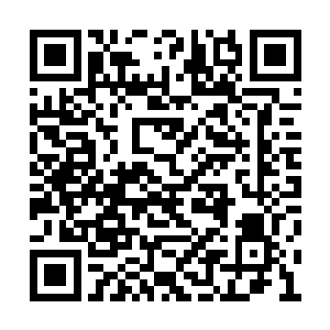 形六等人听说严默他们有机会进入王城也想跟去二维码生成