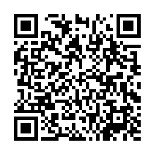 形态也化成了三将军的模样……很可能它是在试探和尝试二维码生成