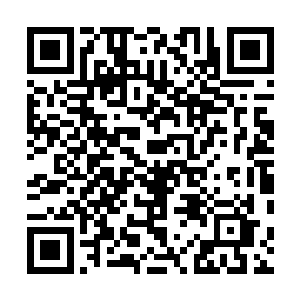 彩排之前我们排练吻戏的时候也没要求你们两个必须要做二维码生成
