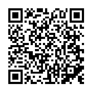 彩虹一样的光华出现在小树的树干和每一片的树叶上二维码生成