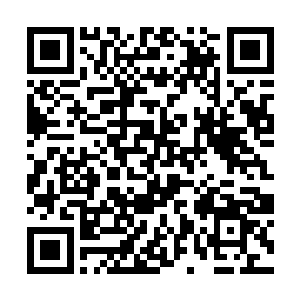 彭天武手中大刀朝对面青蛇殿和赤蛇殿巡山弟子一指二维码生成