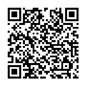 彭文海交代祝景山一定要找个可以信任的合作伙伴二维码生成