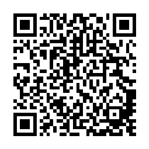 影片以十一个奥斯卡提名拿到包括最佳影片在内的九个奖项二维码生成