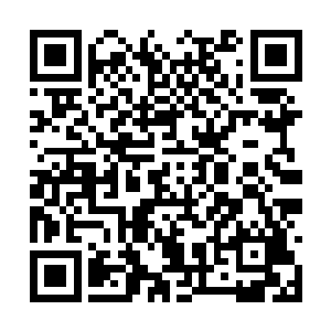 彻底吹响了北江和松江本地媒体宣传沈馥的集结号二维码生成