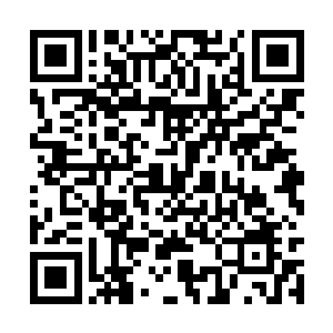 彻底的打碎了珍宁公主心中对母亲的最后一丝期盼二维码生成