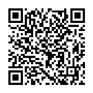 彻底舒展的身体在看到眼前的景象时定格在了原地二维码生成