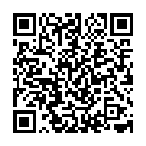 彼得在冰雪荒原南部这些中小部落甚至是野熊部落中的影响力二维码生成