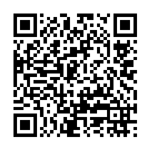 往下的各个大势力小势力遍布占据了整个第一重天二维码生成