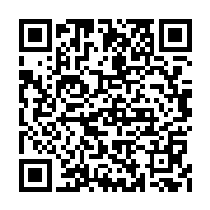 往北的俄罗斯自己也全靠卖油气赚钱更不可能要二维码生成