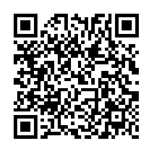 往安城的铁轨边上发现一只狗活生生累死了……二维码生成