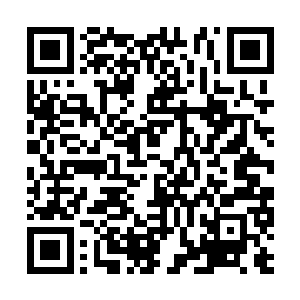 往往在其它地方千方百计才能寻得的某个珍惜材料二维码生成