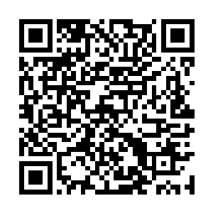 径自将地上那些相关二皇子的罪证悉数踢到了一边二维码生成