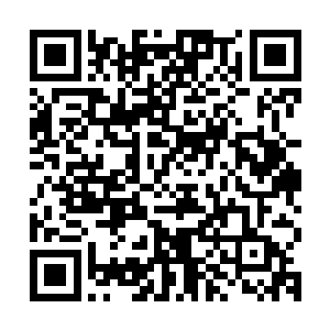 待会儿你把那符文从木剑上撕下来或者想办法把断肠草让他吃下二维码生成