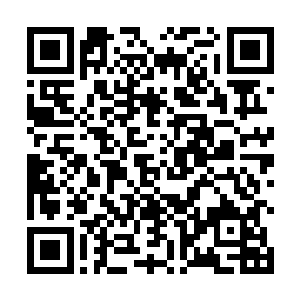 待会儿先遣队进山林后谁和谁负责哪个方位都安排好了二维码生成