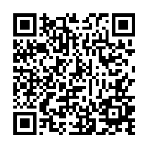 待会随医生回医院检查一下就知道了工入代表同志们二维码生成