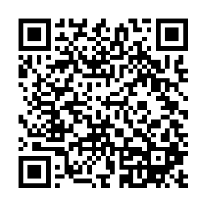 待到欧阳烈这个新晋九品几经周转得到消息赶赴过来之后二维码生成