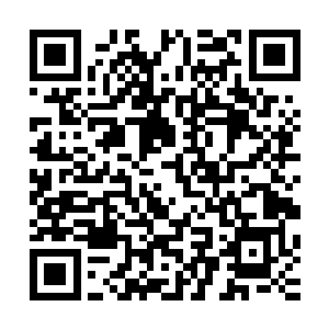 待在卡座上确保安全的常新源看到蘭老大第一个冲进机甲舱中二维码生成