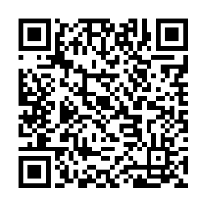 很可怕……仿佛一只全身都是毒素的生灵咬了我一口二维码生成
