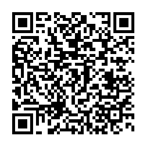 很可能就会在卧室木地板上的铺的那块纯白色羊毛毯上颠鸾倒凤了二维码生成