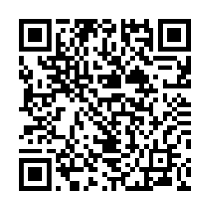 很可能就是苏言那个小婊砸和池婉婉那个小践人勾搭好的二维码生成